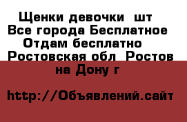 Щенки девочки 4шт - Все города Бесплатное » Отдам бесплатно   . Ростовская обл.,Ростов-на-Дону г.